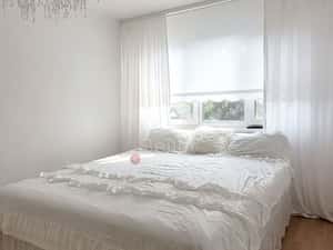 Zona Verde — miniatura 5