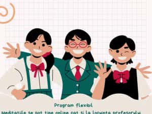 Meditatii engleza — miniatura 2