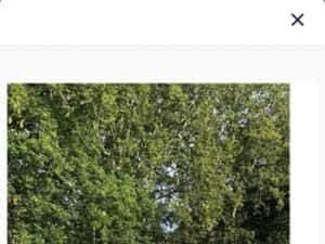 Rulotă safari easy — miniatura 3