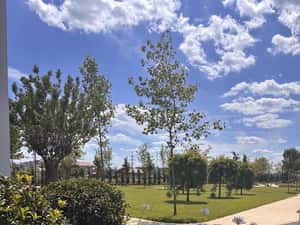 3 Camere Militari | Parc Privat | Gated Community | 0% Comision — miniatura 6