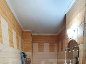 APARTAMENT CU 1 CAMERA-MAZEPA — miniatura 5