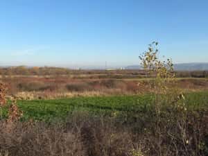 Teren extravilan in total 18.532 mp in Sat Gurasada, Jud. HD. — miniatura 3