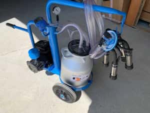 Aparate muls | mulgatoare vaci oi capre 1 2 4 6 posturi 1 2 bidoane — miniatura 8