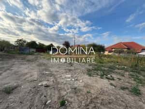 Vânzare teren 4449 mp cu utilități, Curtișoara - la 13 km de Târgu Jiu — miniatura 3