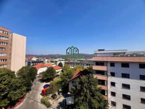 Apartament cu 3 camere de vânzare – Calea lui Traian - Zona Nord — miniatura 8