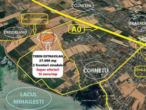 Teren Extravilan 27.373 mp – Cornetu, Str. Aeroportului | 12€/mp — miniatura 7