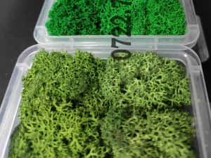 Licheni Craiova, pret Importator direct — miniatura 3