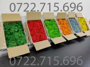 Licheni Craiova, pret Importator direct — miniatura 5