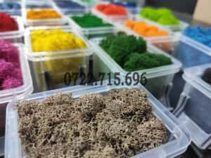 Licheni Craiova, pret Importator direct — miniatura 8