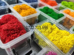 Licheni Craiova, pret Importator direct — miniatura 9