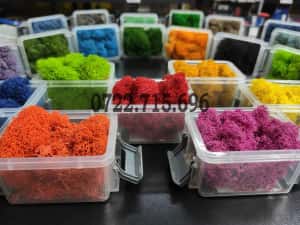 Licheni Craiova, pret Importator direct — miniatura 10