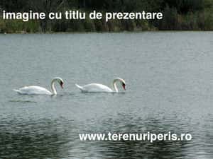 Teren Peris 500mp IN RATE 500 teren langa Saftica, Corbeanca, Balotesti — miniatura 2
