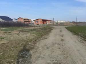 Teren 650 mp Sacalaz de vânzare — miniatura 1