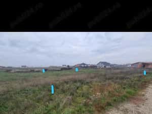 Teren 650 mp Sacalaz de vânzare — miniatura 2