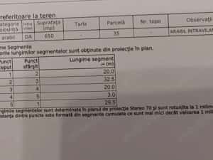 Teren 650 mp Sacalaz de vânzare — miniatura 4