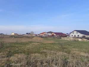 Teren 650 mp Sacalaz de vânzare — miniatura 5