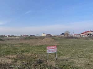 Teren 650 mp Sacalaz de vânzare — miniatura 8