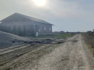 Teren 650 mp Sacalaz de vânzare — miniatura 9