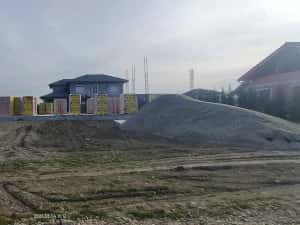 Teren 650 mp Sacalaz de vânzare — miniatura 10