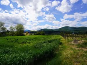 Teren 9000 mp intravilan Piatra Neamt , ideal investitie — miniatura 7