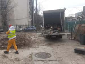 Taiere copaci toaletari întreținere grădini alpinisti utilitari — miniatura 8
