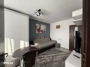 Apartament 1 Camera - Torontal — miniatura 4