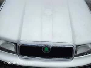 Vand Skoda Octavia