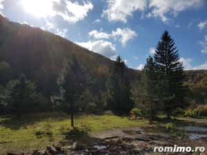 Teren intravilan ideal investitie in localitatea Resita, 5755 mp, intre case, zona LEND — miniatura 1