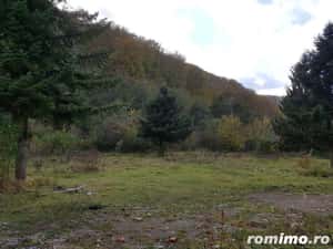 Teren intravilan ideal investitie in localitatea Resita, 5755 mp, intre case, zona LEND — miniatura 3