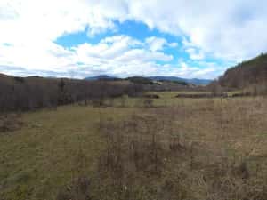 Vând teren munte Soveja 5727 mp – aer ultra curat, deal însorit, la drum, lângă râul Șușița.