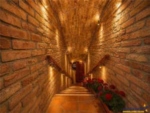 LIVE! Restaurant+terasa, Centrul Istoric - Piata Unirii, Brasov — miniatura 4