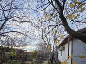 Exclusivitate! Proprietate in Sendreni, jud. Galati - 59.900 EUR — miniatura 3