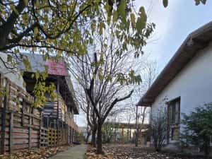 Exclusivitate! Proprietate in Sendreni, jud. Galati - 59.900 EUR — miniatura 5