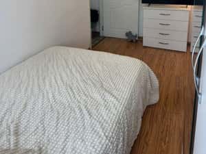 Apartament de inchiriat zona Tatarasi 2 camere decomandat — miniatura 3
