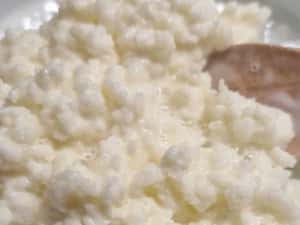 Ciupercă Kefir Lapte 100g (Chefir Caucazian activ) + Instrucțiuni