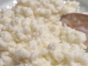 Ciupercă Kefir Lapte 100g (Chefir Caucazian activ) + Instrucțiuni — miniatura 2