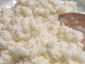Ciupercă Kefir Lapte 100g (Chefir Caucazian activ) + Instrucțiuni — miniatura 3