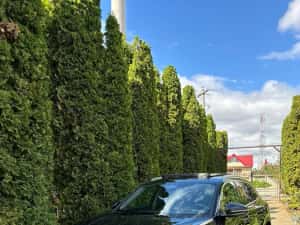 Audi Q5 40 TDI Quattro — miniatura 10