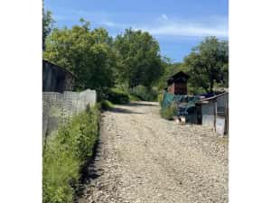 Teren agricol de vanzare — miniatura 3