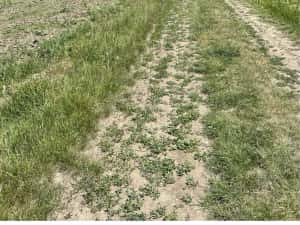 Teren agricol de vanzare — miniatura 5