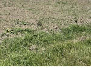 Teren agricol de vanzare — miniatura 9