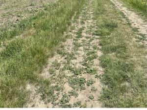 Teren agricol de vanzare — miniatura 10