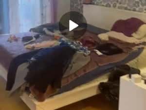 inchiriez vila 6 camere 300 metri la 1550 euro laminorului — miniatura 7