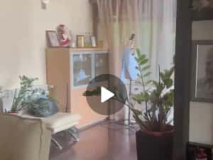 inchiriez vila 6 camere 300 metri la 1550 euro laminorului — miniatura 8