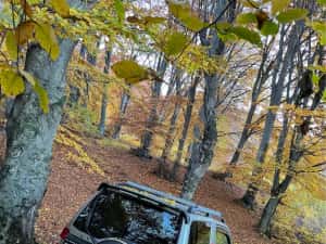 Pajero Pinin 4x4 mic/mare — miniatura 5