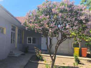 Casa de vanzare in Sannicolau Mare - zona 1 — miniatura 4