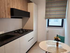 Proprietar inchiriez, studio Cortina North — miniatura 4
