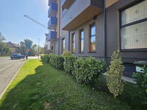PENTHOUSE PREMIUM C. ARADULUI Oradea, TERASĂ 30 MP, PARCARE SUBTERANĂ