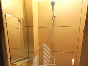 Garsoniera, de inchiriat, zona Buziasului, Timisoara — miniatura 5