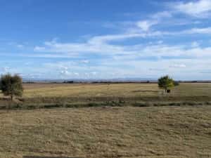 Teren agricol/arabil 23 ha, comasat, extravilan, Butin, Timis — miniatura 5